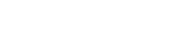 Vizora Business School